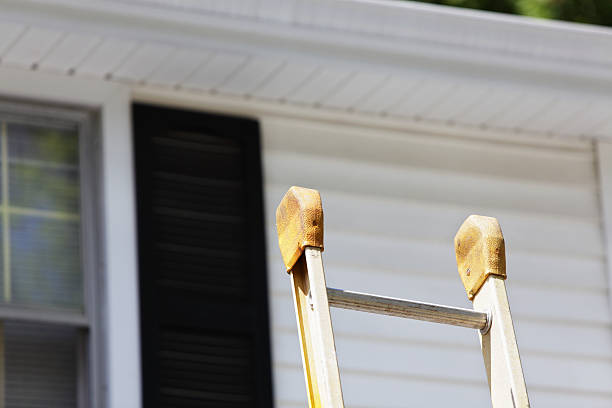 Best Historical Building Siding Restoration  in USA